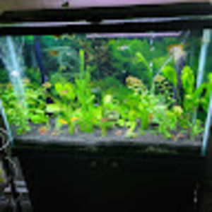 Meet your Posher, Tim